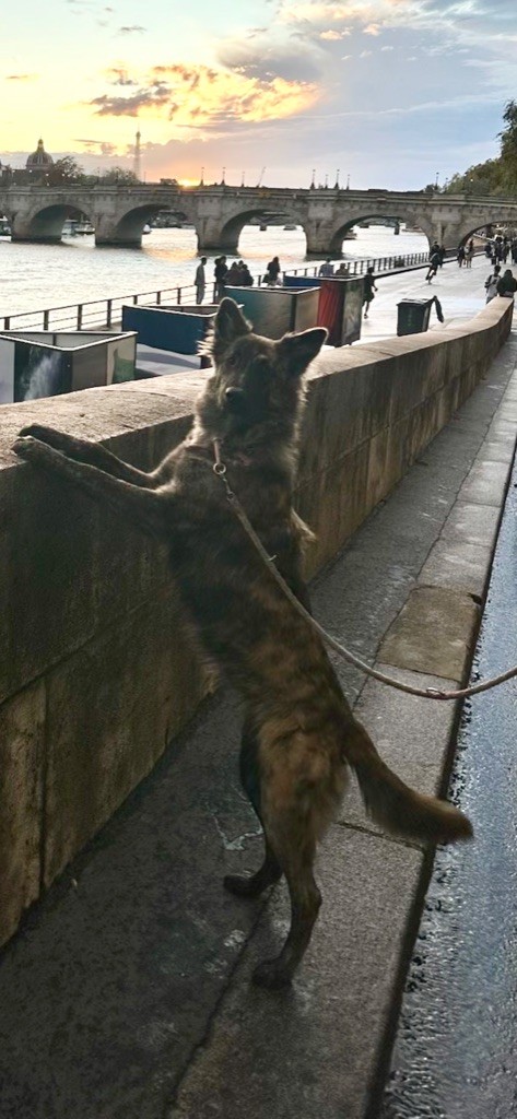 Absolue De La Tribu Des Terres Noires